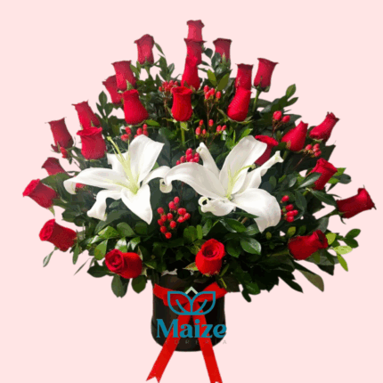 Box - Amar